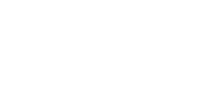 Inmarsat Vert partner white